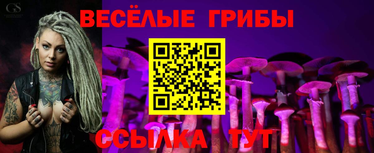 Дзержинский  Галлюциногенные грибы мицелий  Вход с VPN  Псилоцибиновые грибы Cubensis 