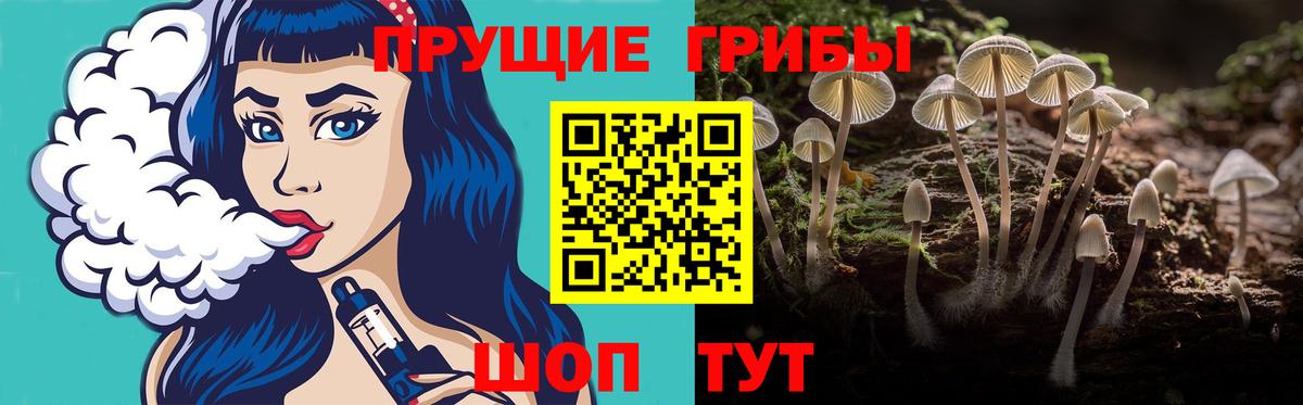 Псилоцибиновые грибы Psilocybe Дзержинский